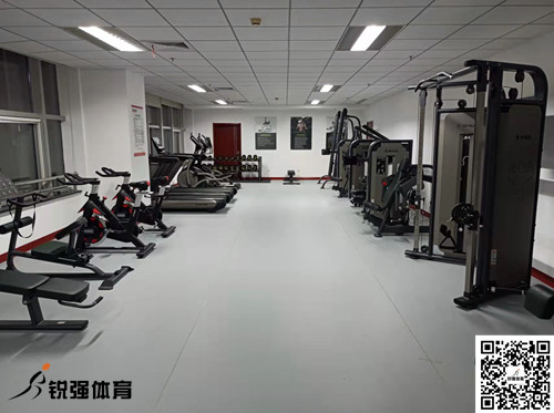 济南某集团采购的zoty中欧体育官方网站体育提供的健身器材