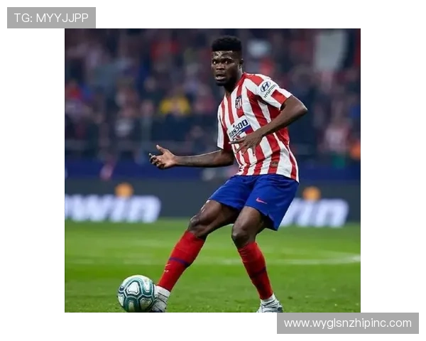 维罗纳边路闪电战术分析：速度与技术结合，推动球队新赛季表现提升