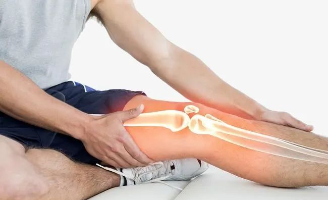 zoty中欧体育官方网站