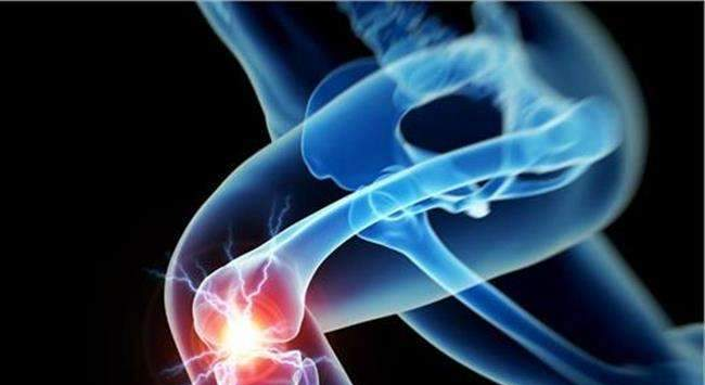 zoty中欧体育官方网站