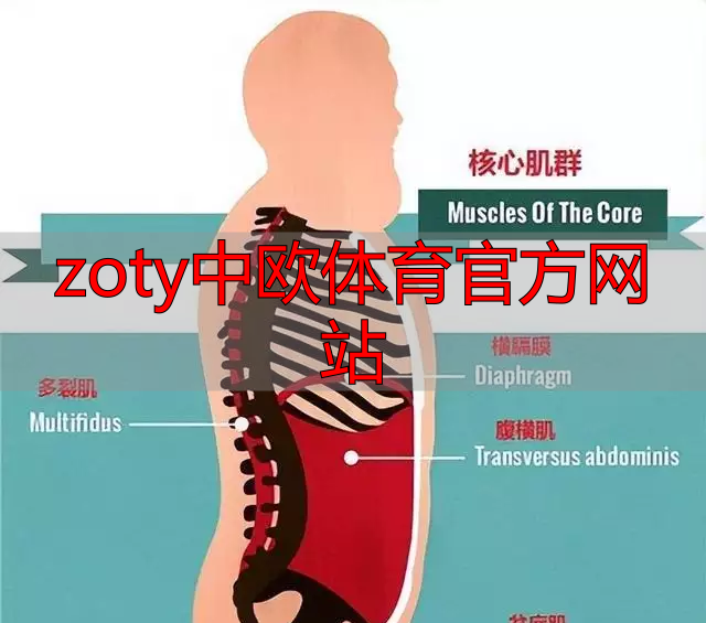 zoty中欧体育官方网站