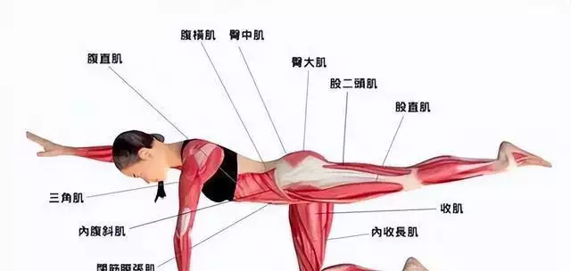 zoty中欧体育官方网站