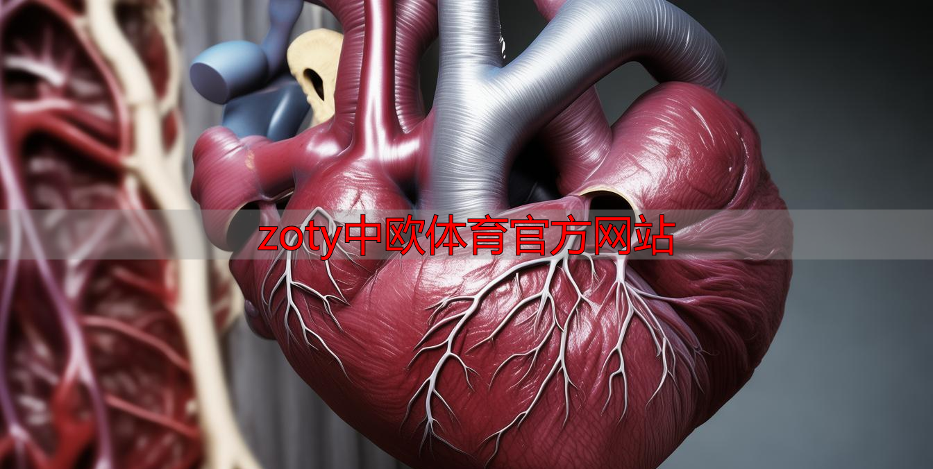 zoty中欧体育官方网站