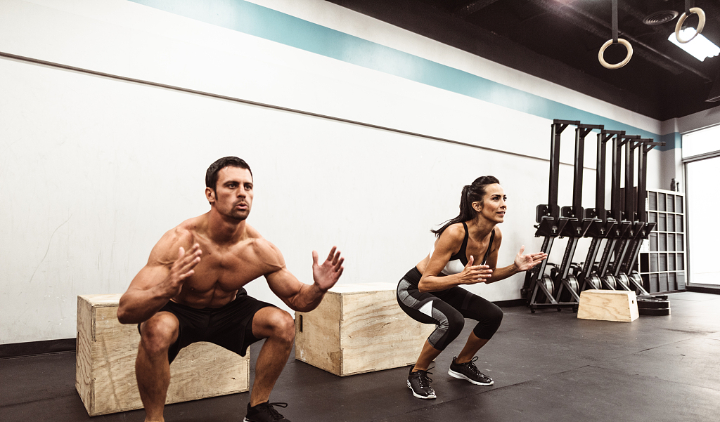 zoty中欧体育官方网站