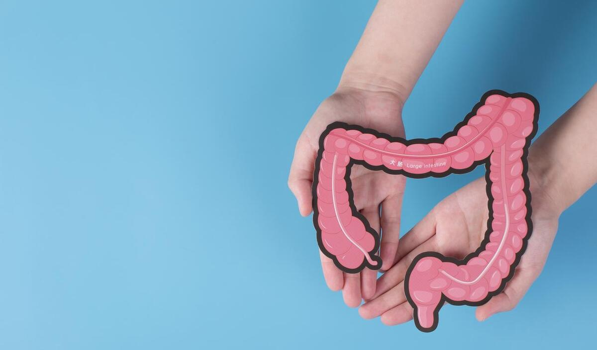 zoty中欧体育官方网站