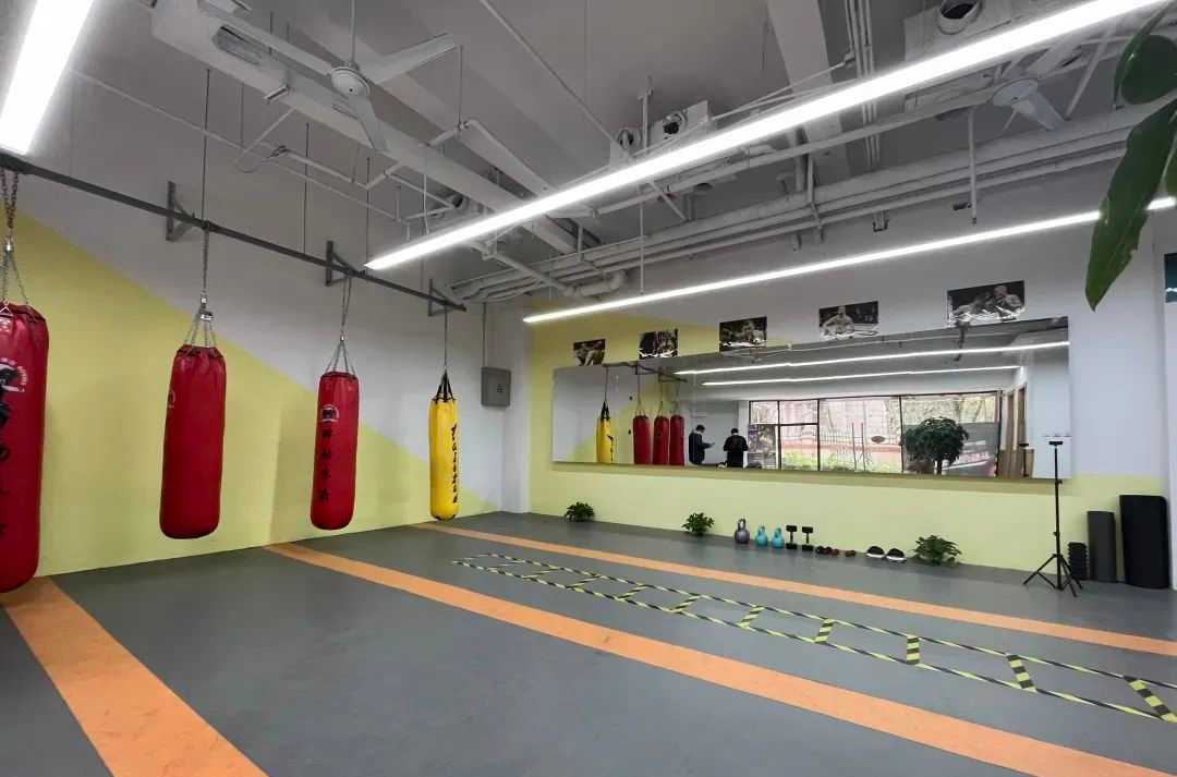 zoty中欧体育官方网站