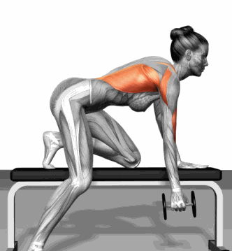 zoty中欧体育官方网站