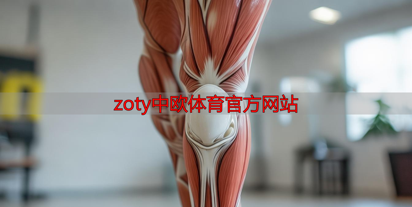 zoty中欧体育官方网站