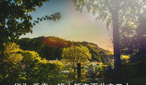 zoty中欧体育官方网站